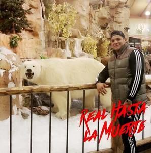 Meet your Posher, Rafael